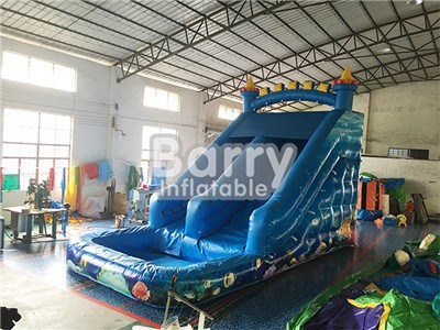 Outdoor Best Backyard Seaworld Inflatable Water Slides For Kids BY-WS-061